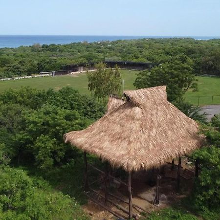 Palapa Hostel Transito エクステリア 写真
