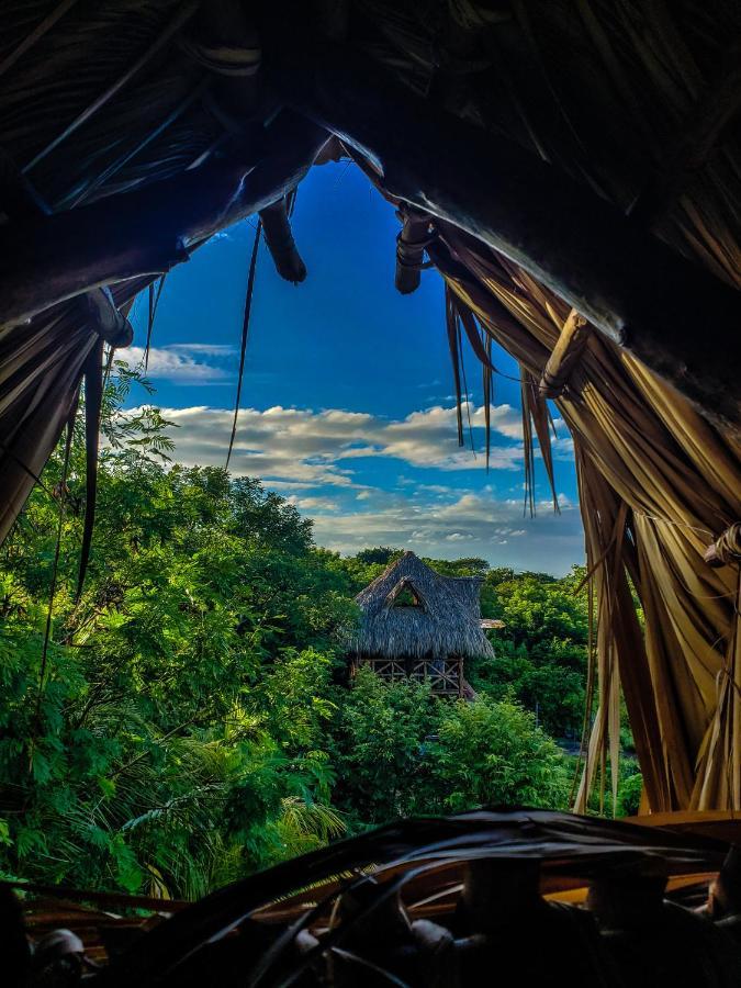 Palapa Hostel Transito エクステリア 写真