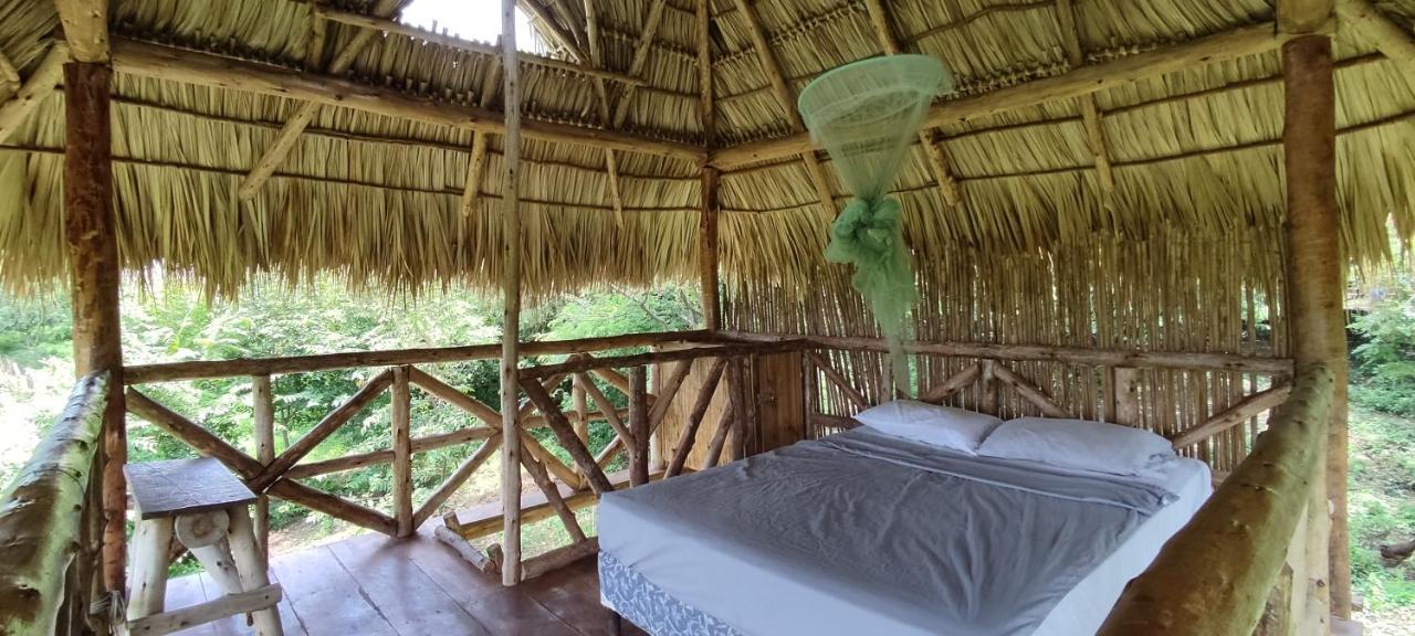 Palapa Hostel Transito エクステリア 写真