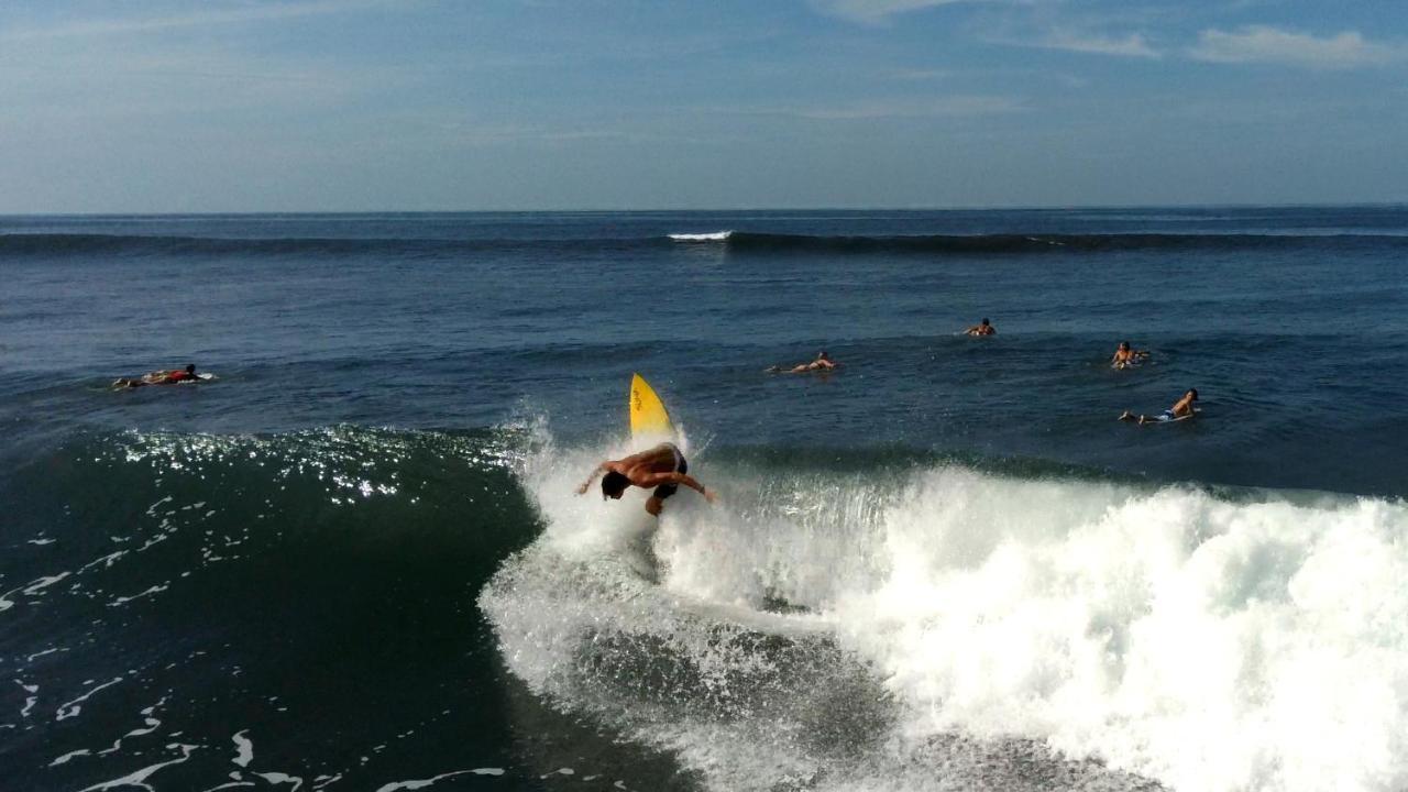 Palapa Hostel Transito エクステリア 写真