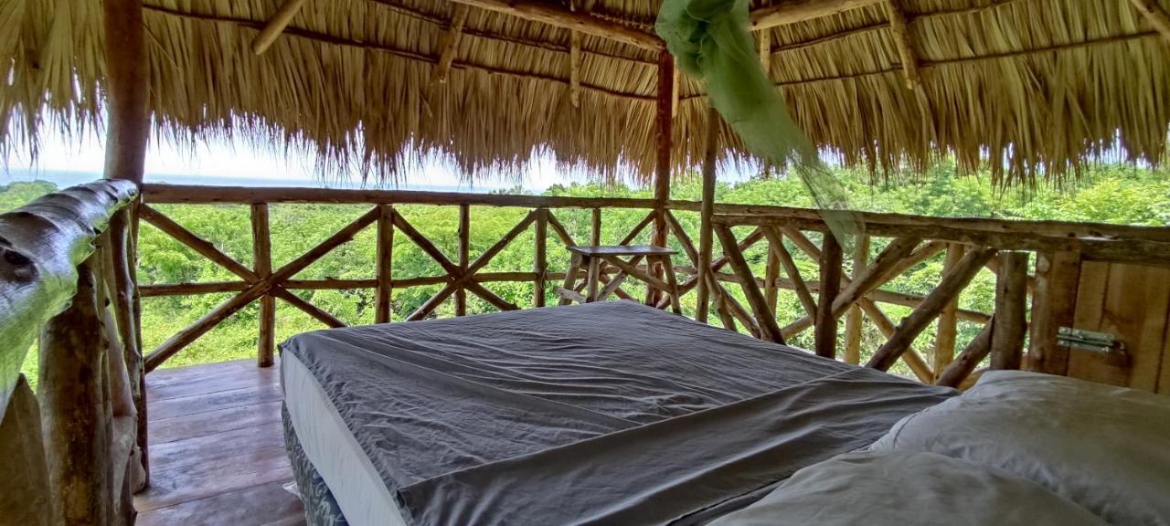 Palapa Hostel Transito エクステリア 写真