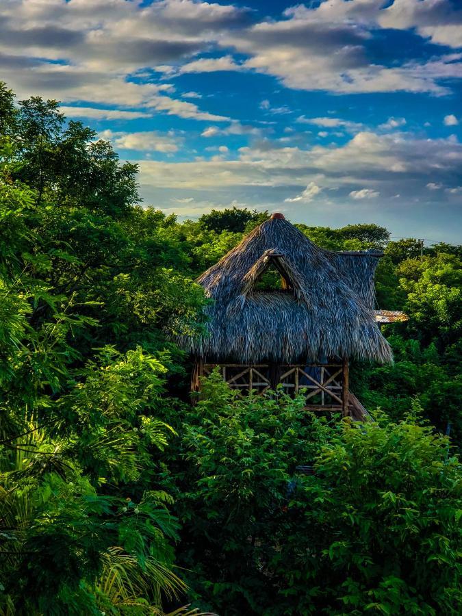 Palapa Hostel Transito エクステリア 写真
