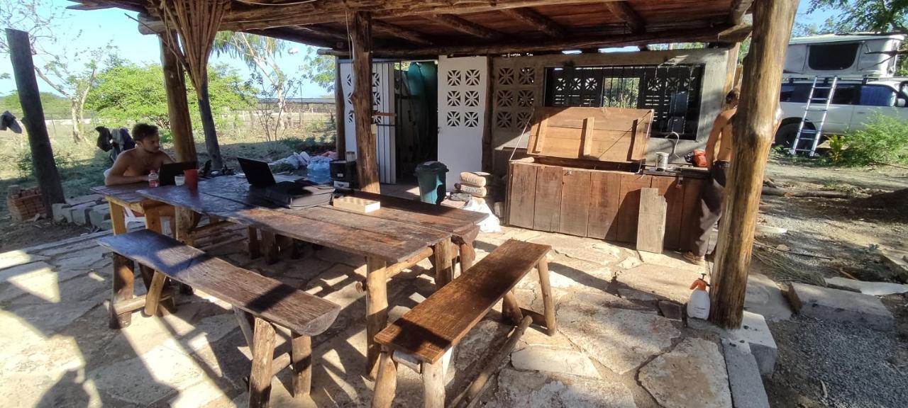 Palapa Hostel Transito エクステリア 写真