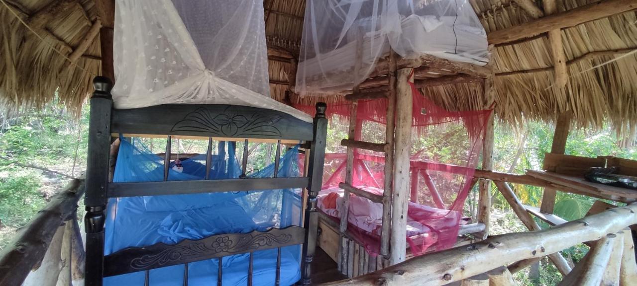 Palapa Hostel Transito エクステリア 写真