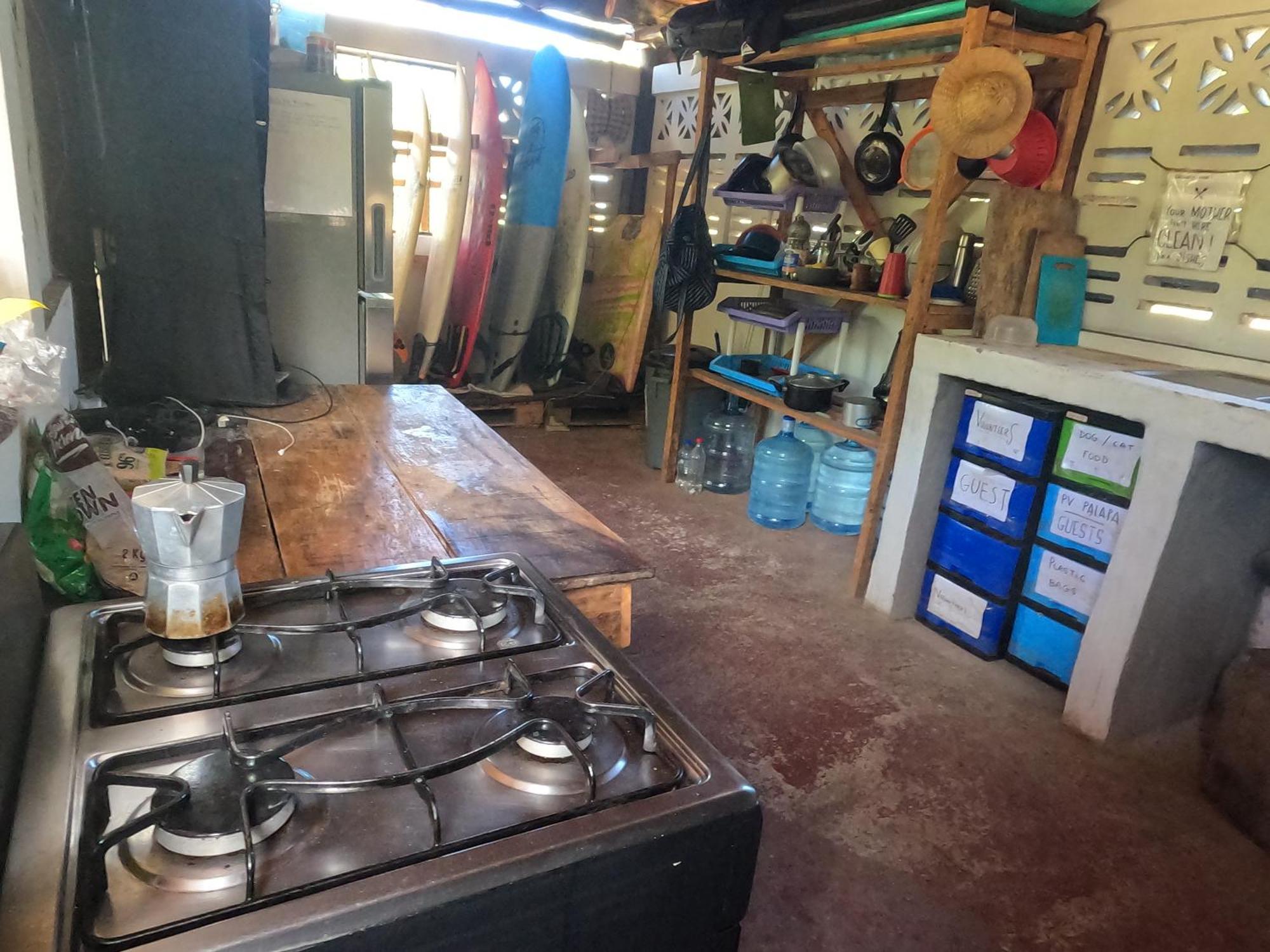 Palapa Hostel Transito エクステリア 写真