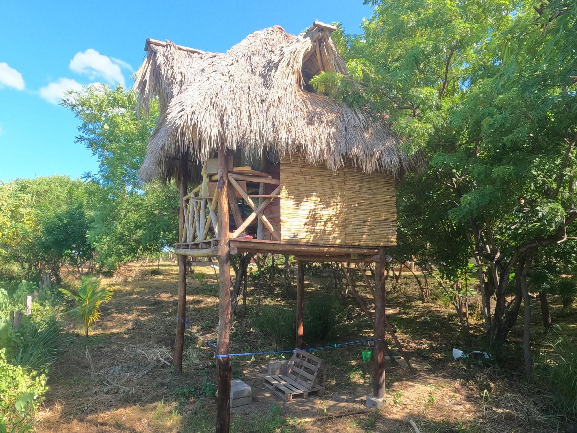 Palapa Hostel Transito エクステリア 写真