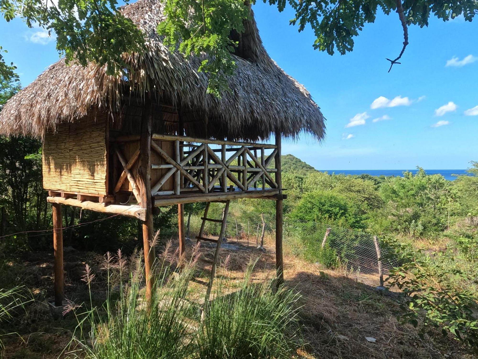 Palapa Hostel Transito エクステリア 写真
