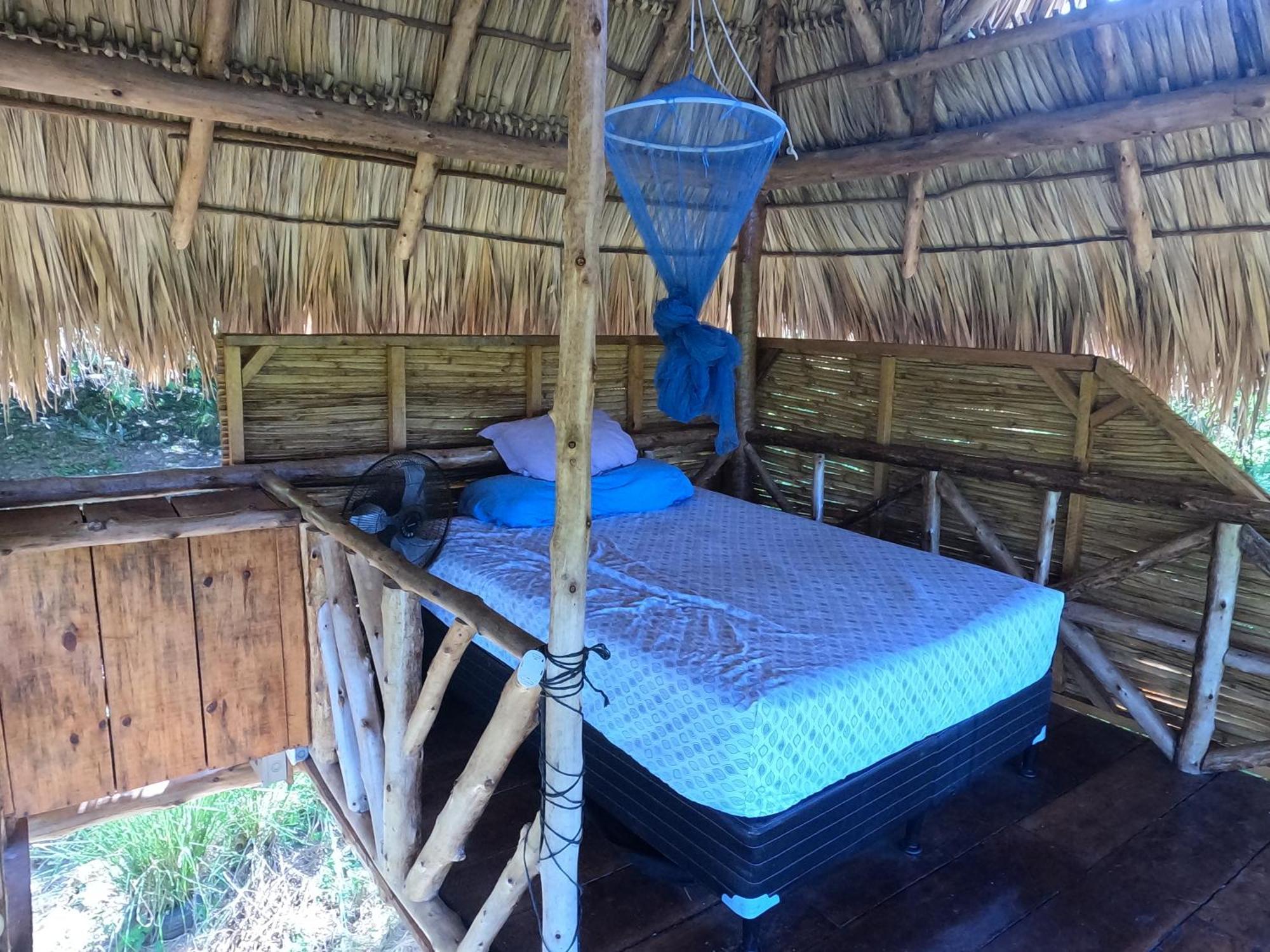 Palapa Hostel Transito エクステリア 写真