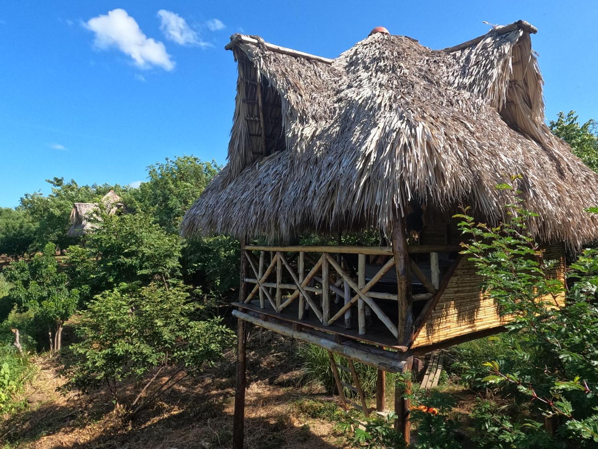 Palapa Hostel Transito エクステリア 写真