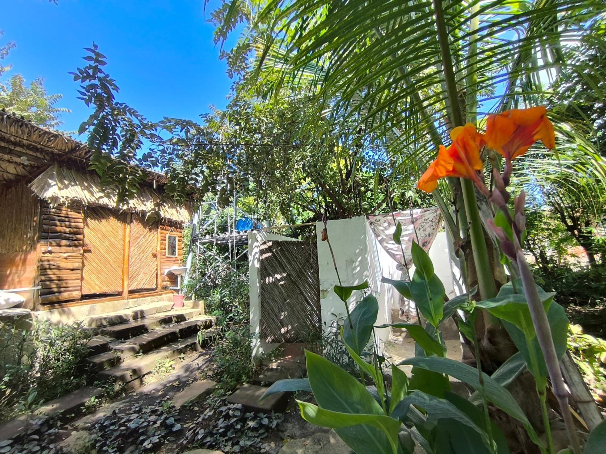 Palapa Hostel Transito エクステリア 写真