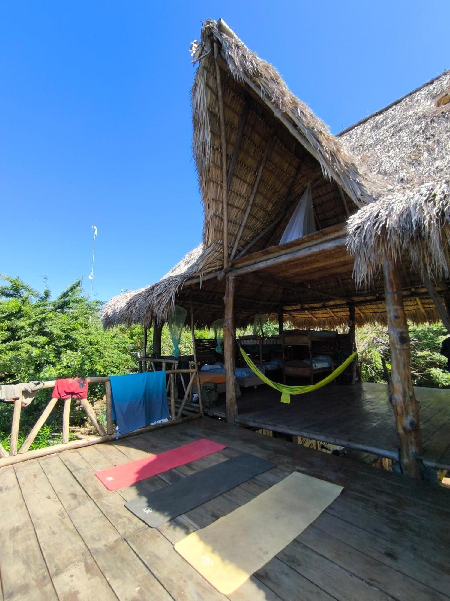 Palapa Hostel Transito エクステリア 写真