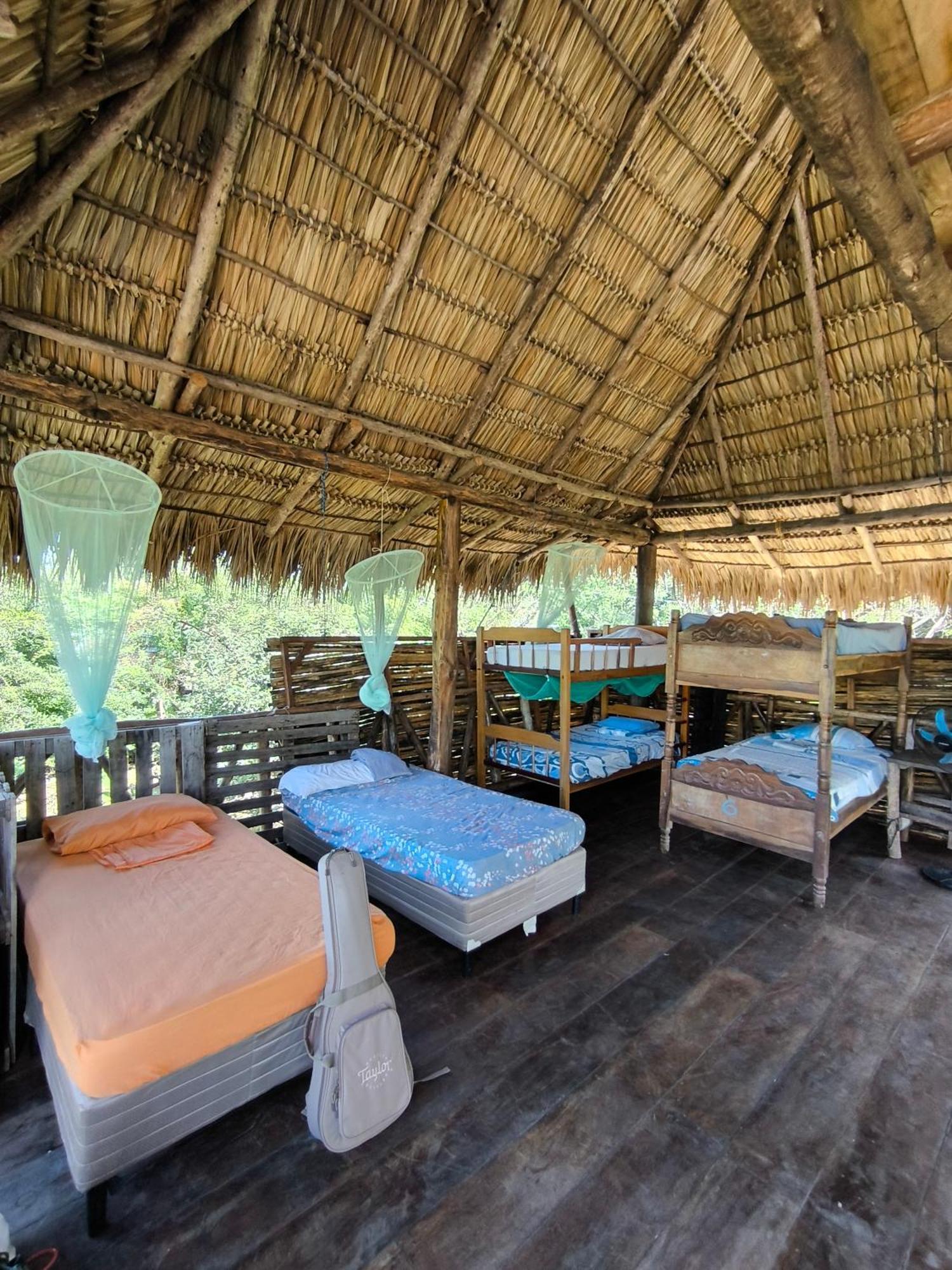 Palapa Hostel Transito エクステリア 写真