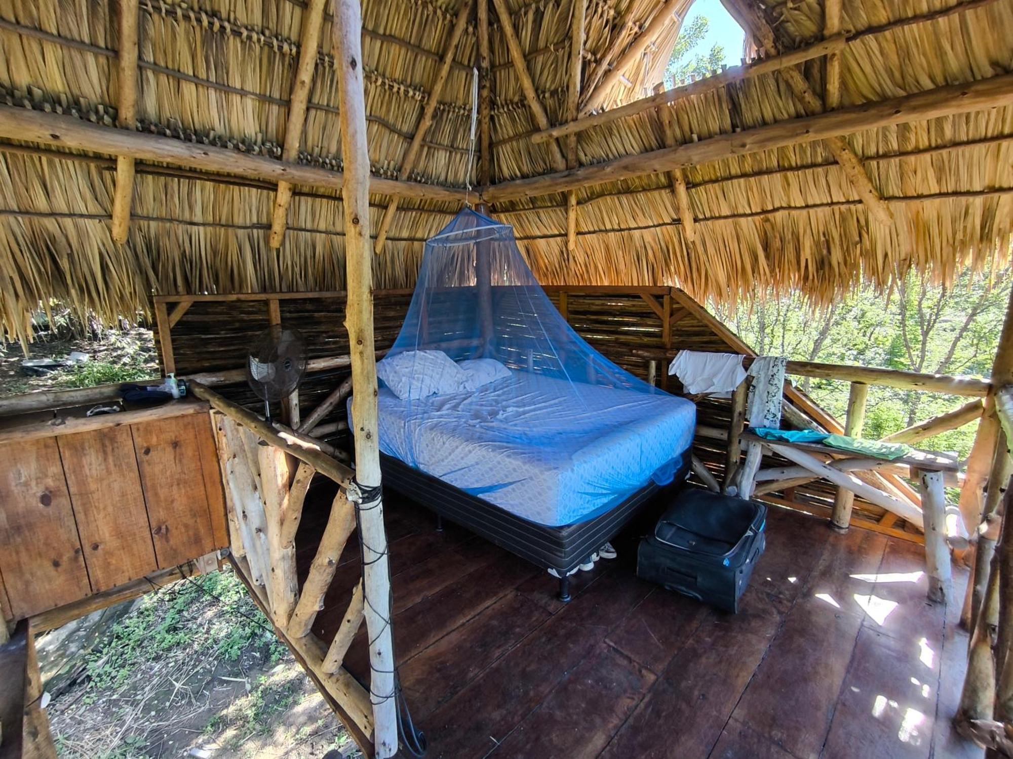 Palapa Hostel Transito エクステリア 写真