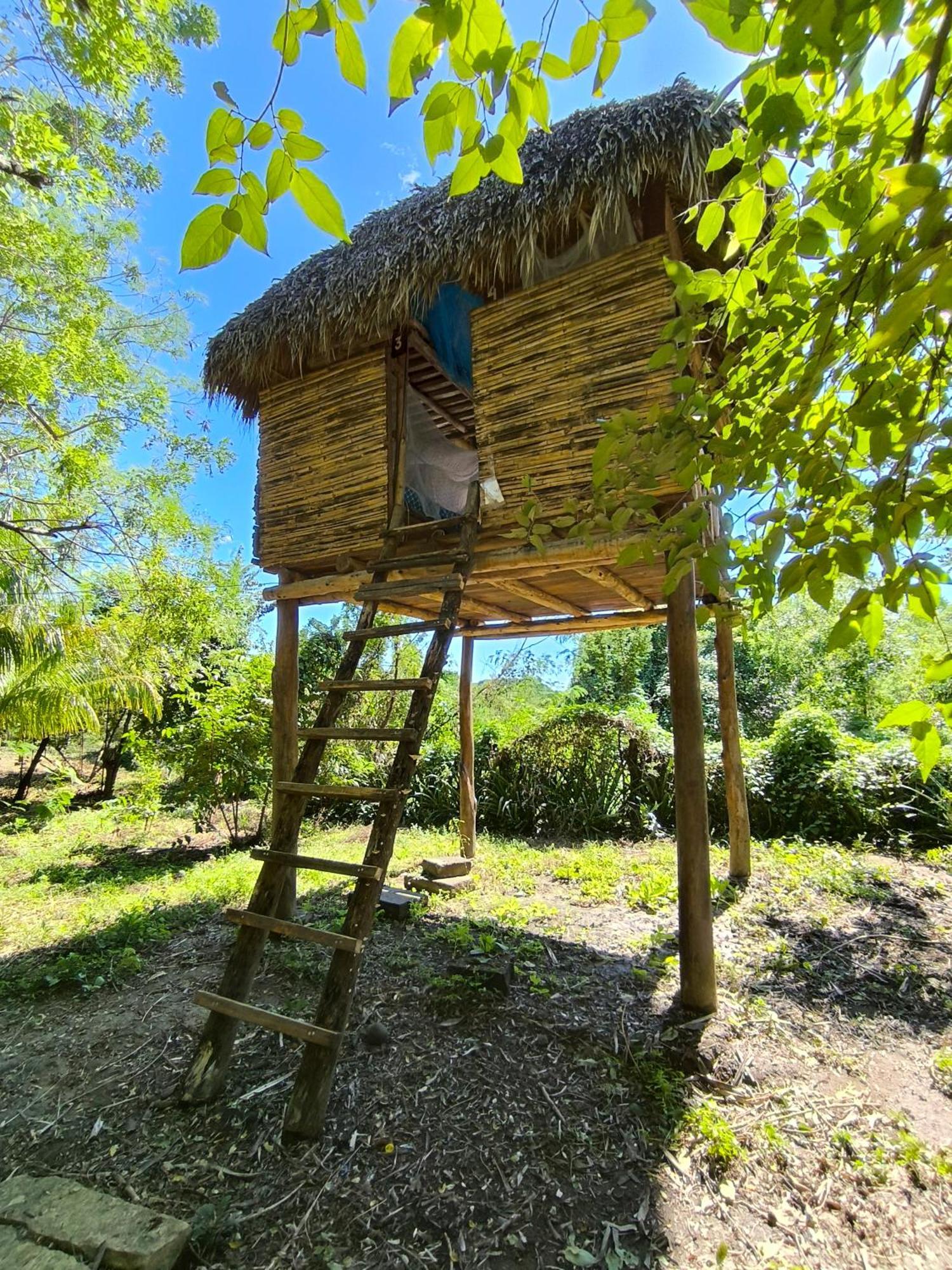 Palapa Hostel Transito エクステリア 写真